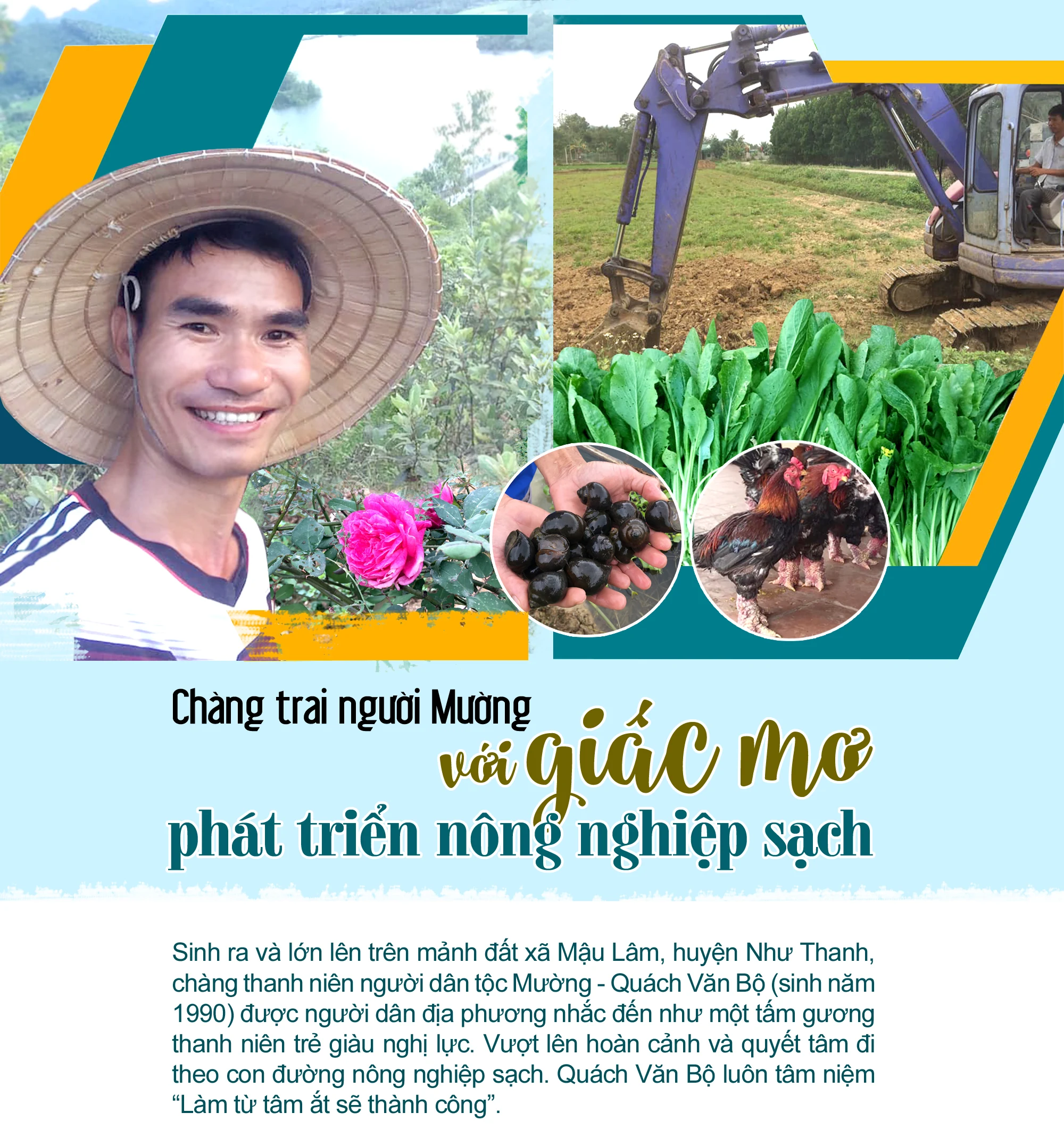 Chàng trai người Mường với giấc mơ phát triển nông nghiệp sạch