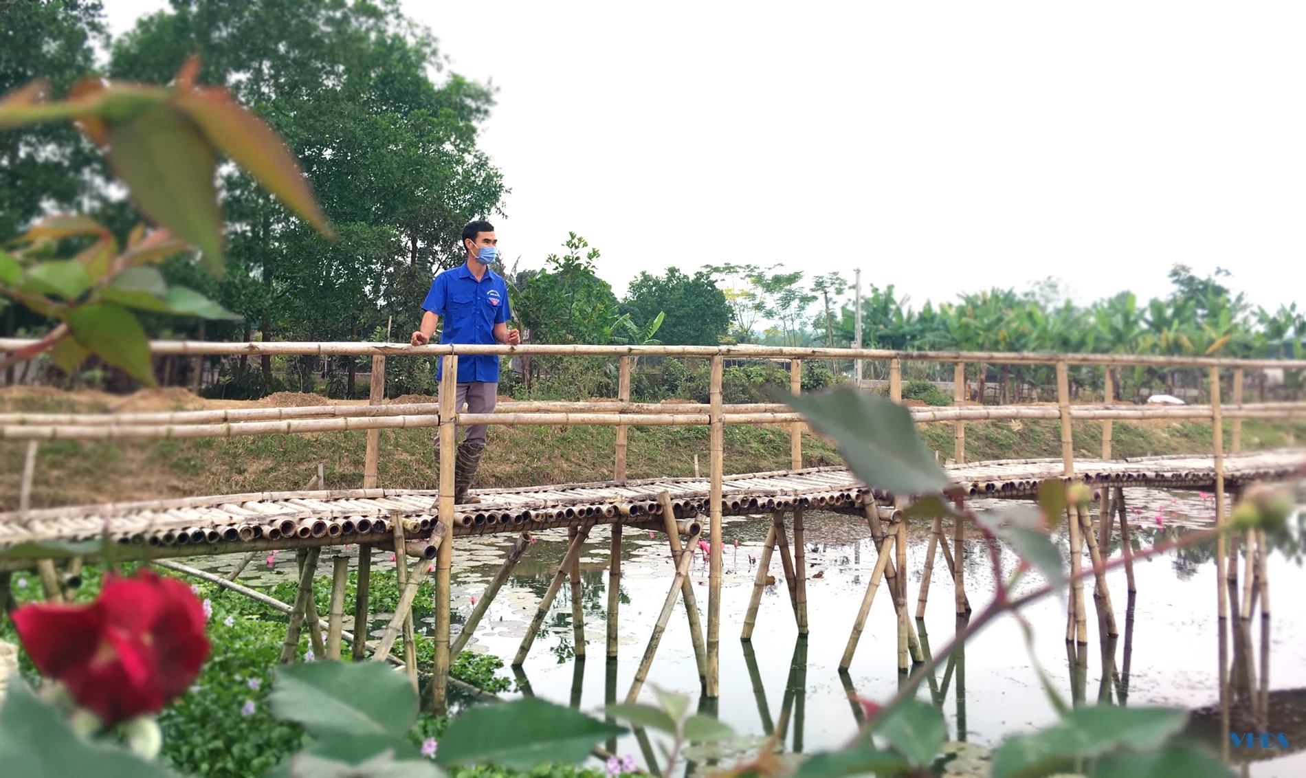 Chàng trai người Mường với giấc mơ phát triển nông nghiệp sạch