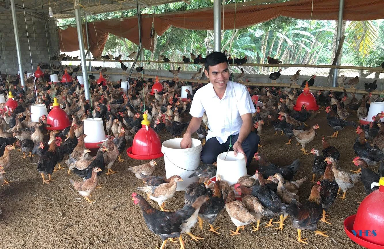 Chàng trai người Mường với giấc mơ phát triển nông nghiệp sạch