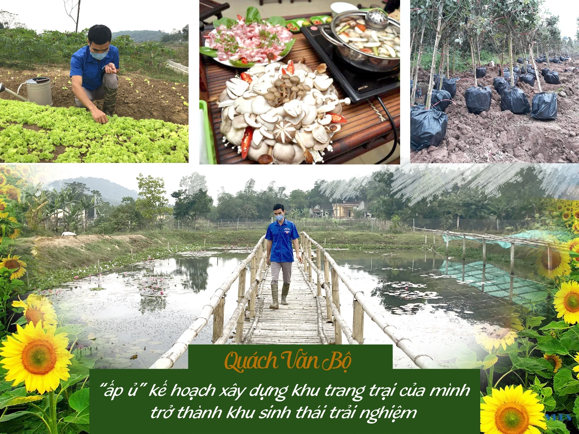 Chàng trai người Mường với giấc mơ phát triển nông nghiệp sạch