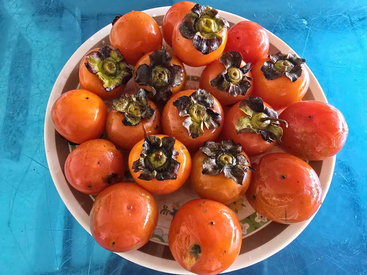 Mùa hồng, nhớ vòng tay ông nội
