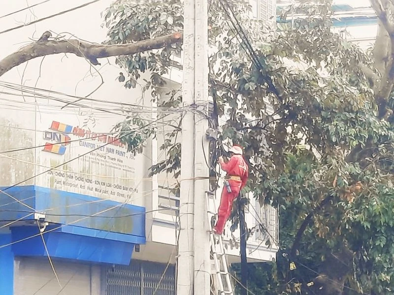 Khắc phục nguy cơ cột điện đổ vào nhà dân trên đường Lê Trang Tông