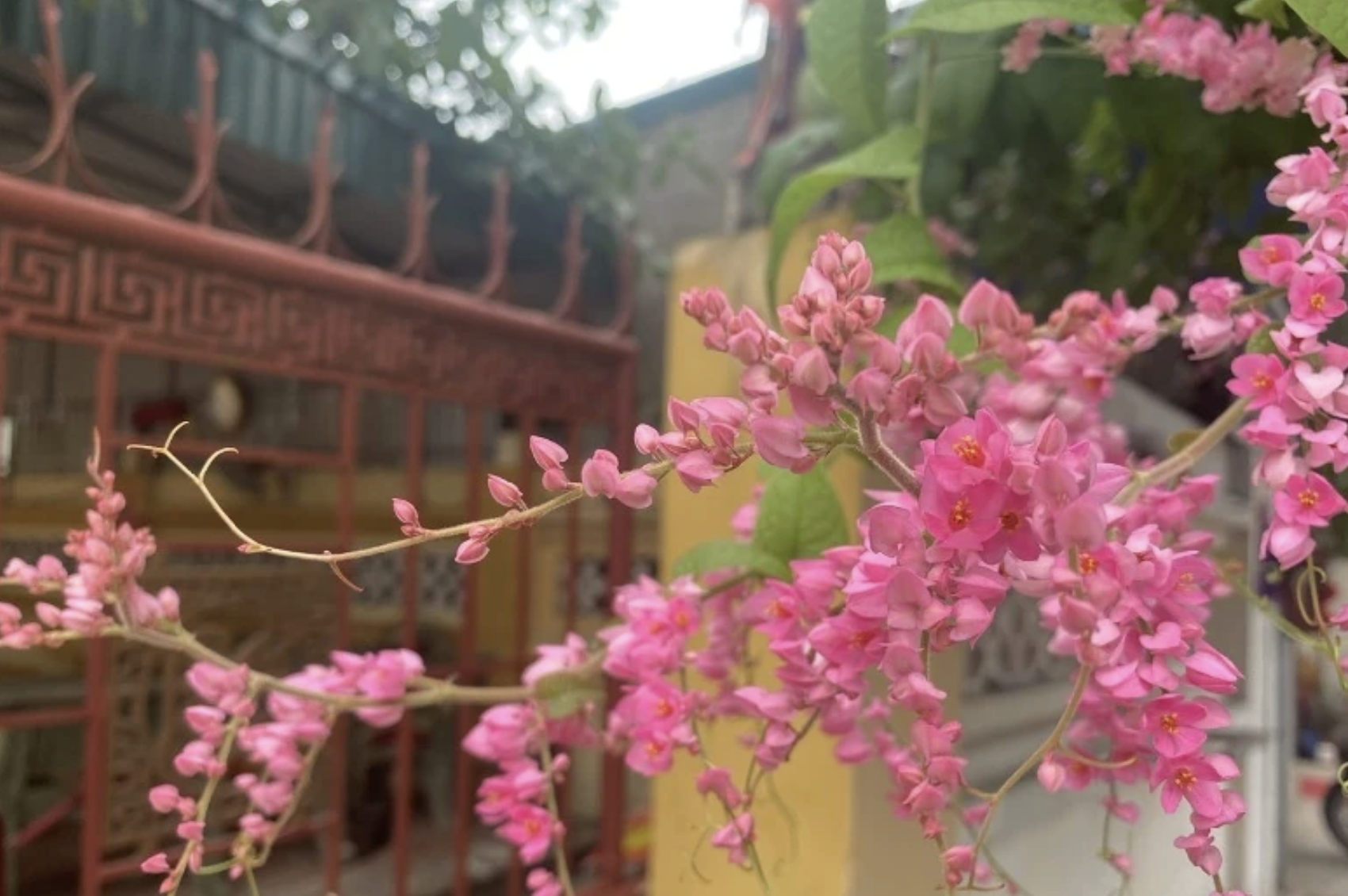 Lặng đón mùa sang