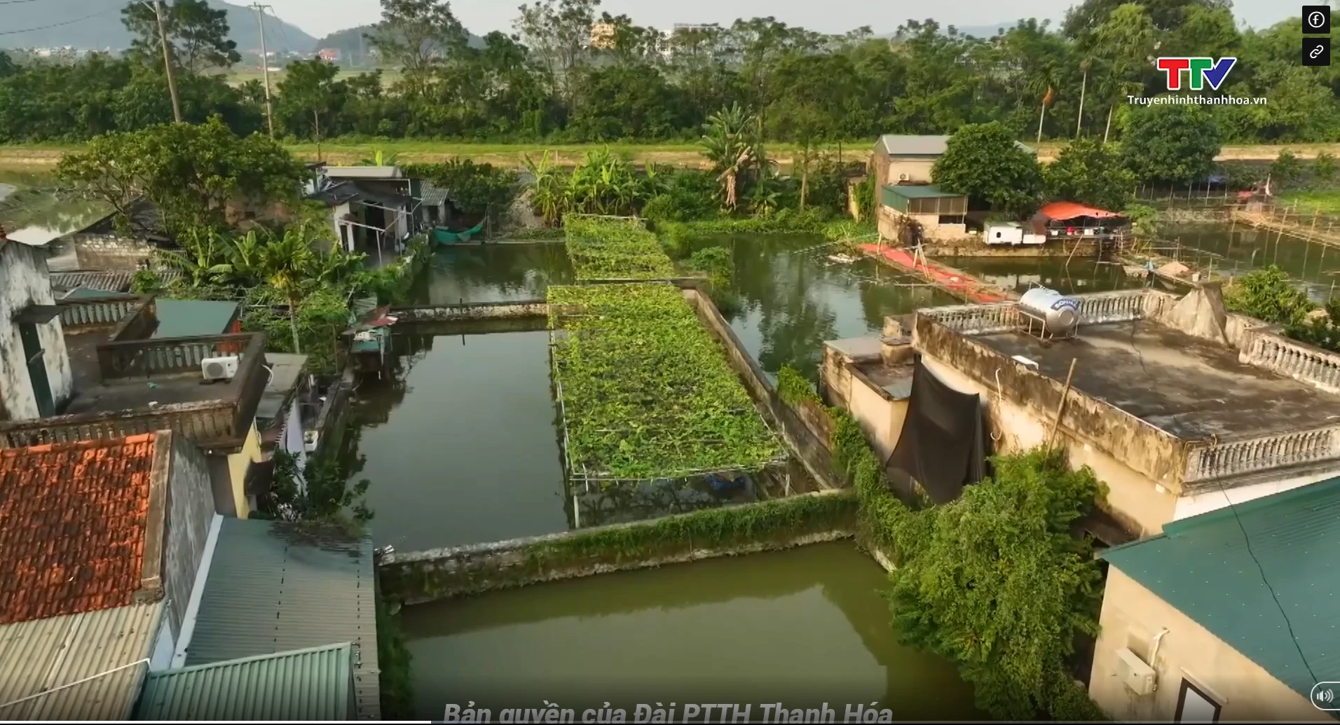 “Dấu xưa”