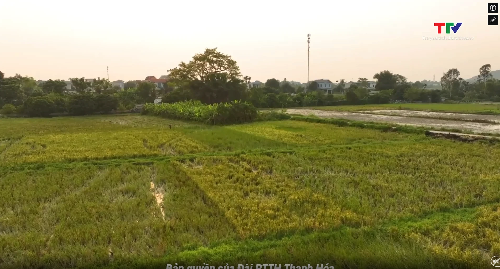 “Dấu xưa”