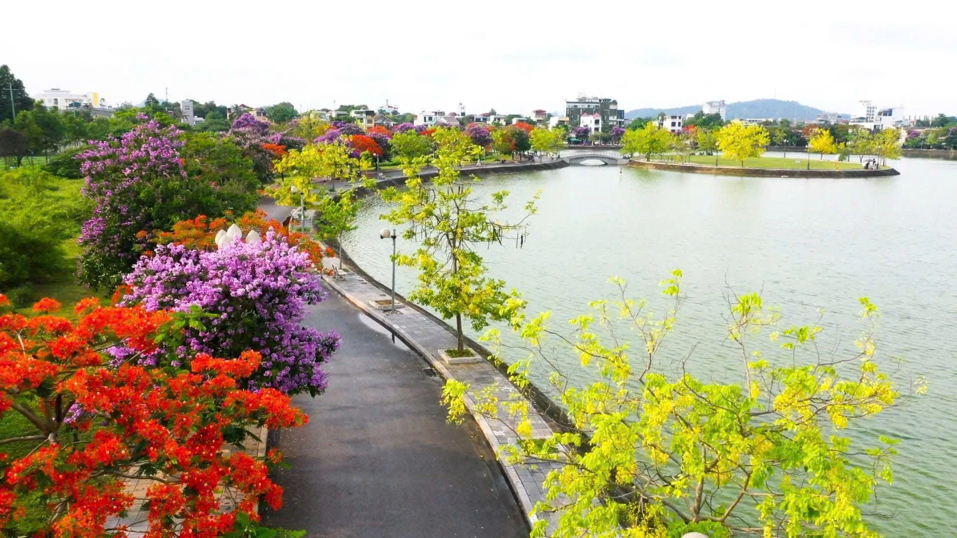 Những mùa hoa thương nhớ