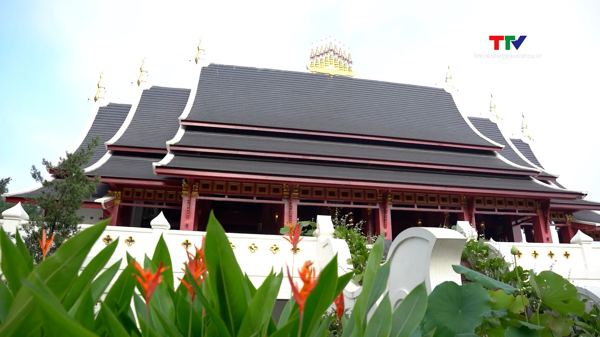 Thiền viện Tùng Lâm – Chốn lặng giữa ngàn