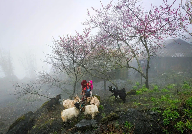 World Travel Awards vinh danh Cao nguyên đá Đồng Văn là điểm đến hàng đầu