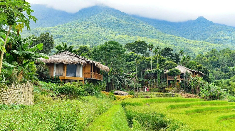Trên những “dải lụa” vùng cao xứ Thanh (Bài 3): Khi ruộng bậc thang trở thành sản phẩm du lịch