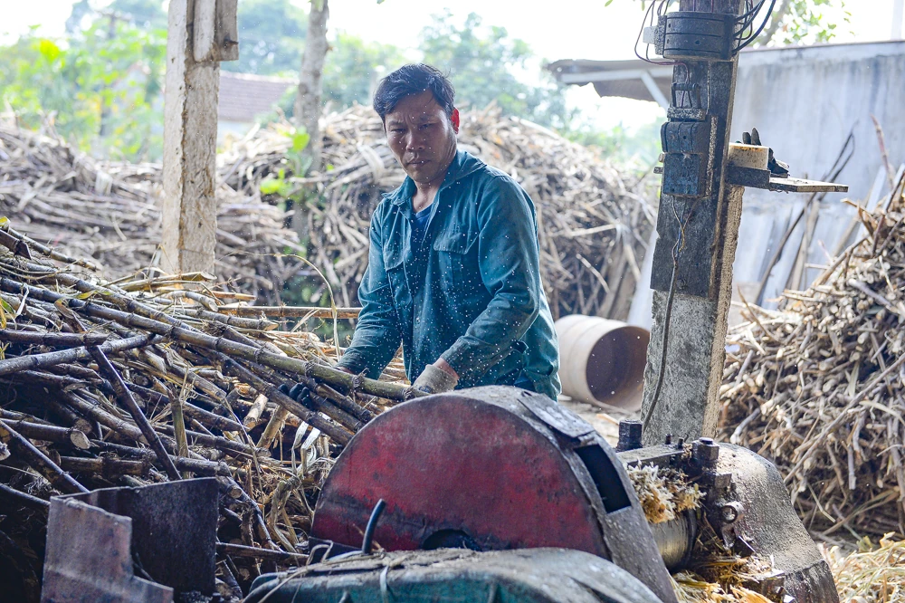 Những giọt mật thơm vào Tết