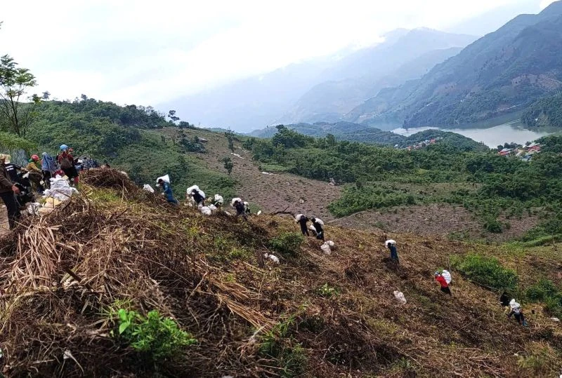 Mùa sắn mới ở Mường Lý