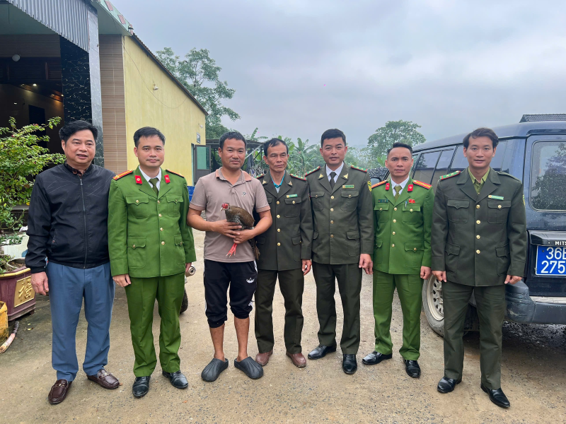 Tiếp nhận cá thể gà lôi trắng do người dân giao nộp