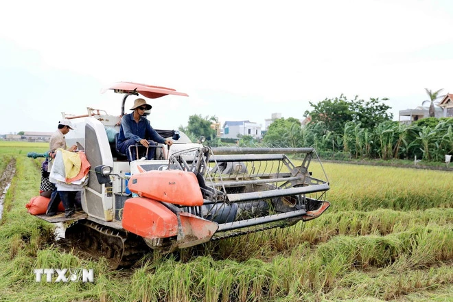 Thủ tướng chỉ đạo ổn định thị trường lúa gạo, hỗ trợ nông dân tiêu thụ sản phẩm
