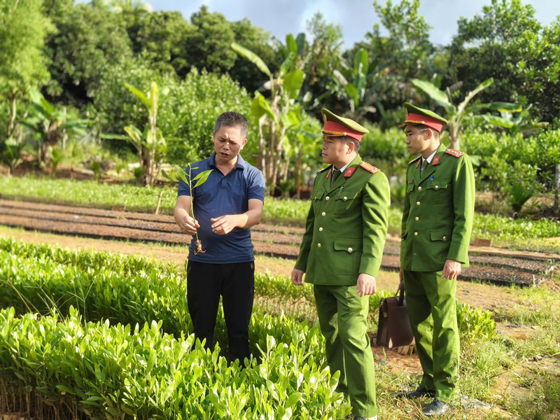 Đặc xá - Chính sách nhân văn của Đảng, Nhà nước