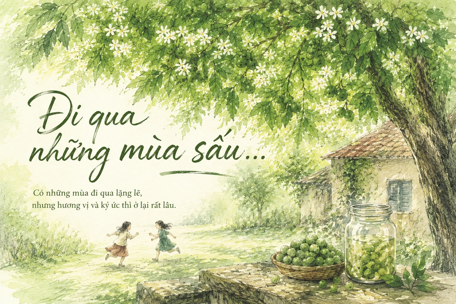 Đi qua những mùa sấu