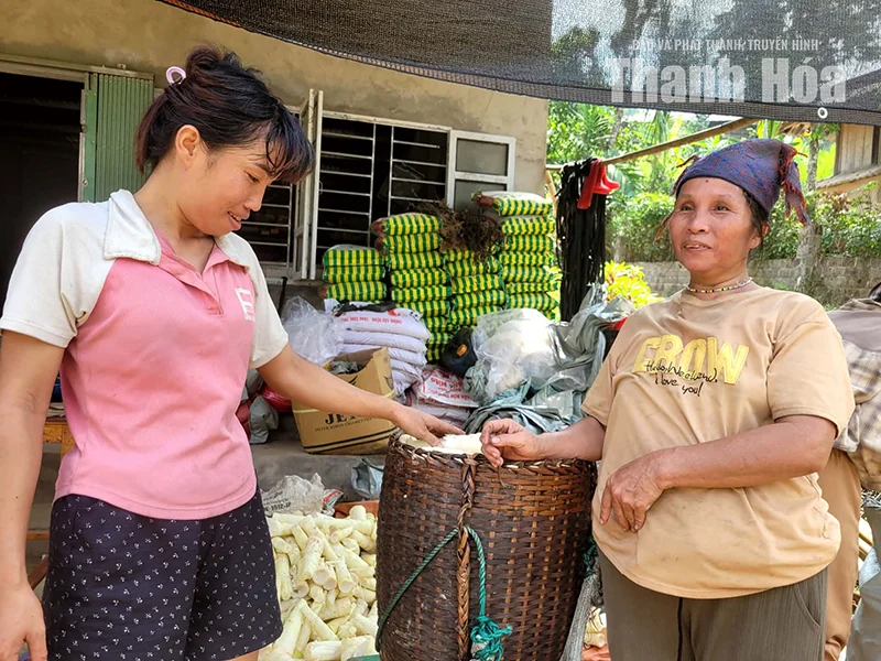 Trăn trở... Yên Bình