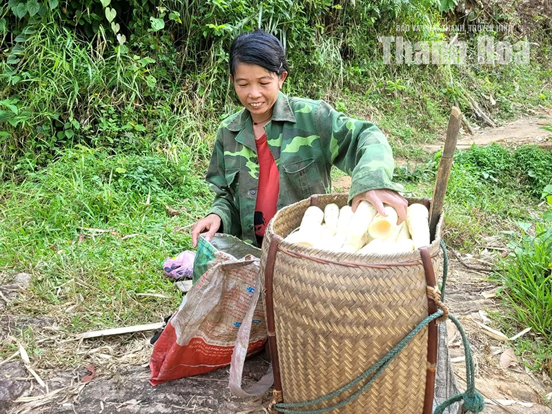 Trăn trở... Yên Bình
