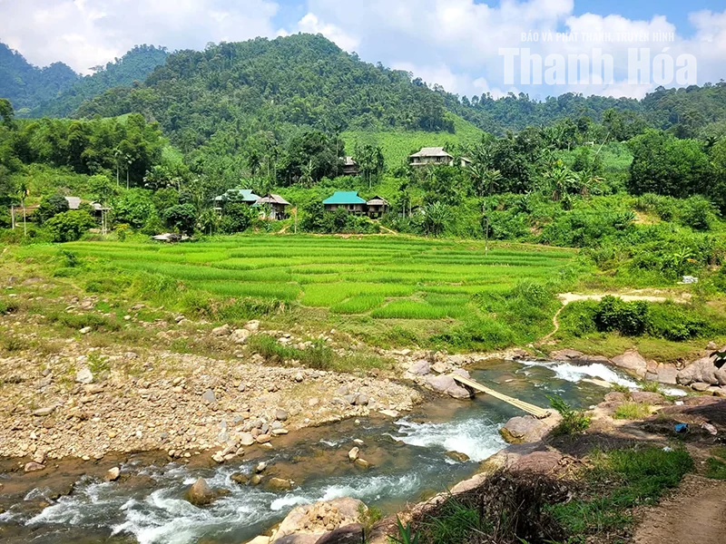 Trăn trở... Yên Bình