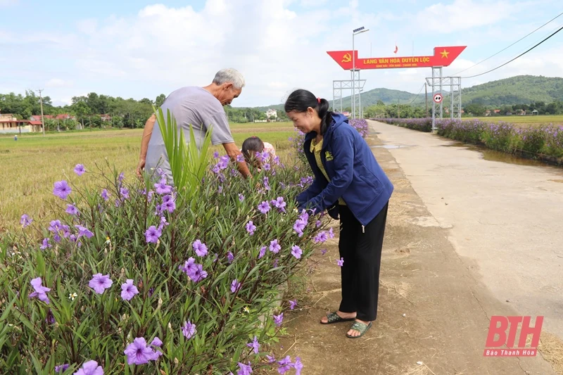 Những con đường nông thôn mới ở xứ Thanh