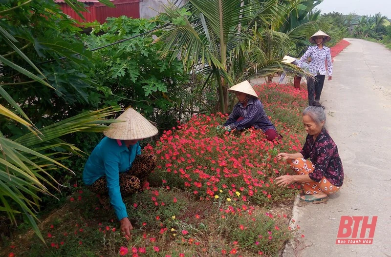 Những con đường nông thôn mới ở xứ Thanh