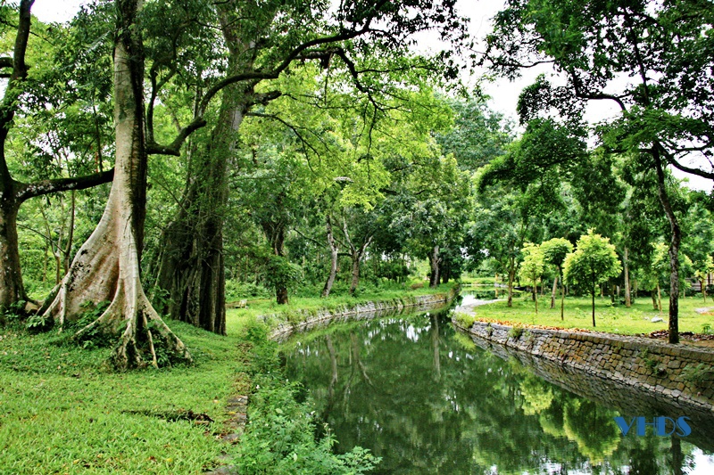 Cây di sản Việt Nam trên địa bàn tỉnh Thanh Hóa