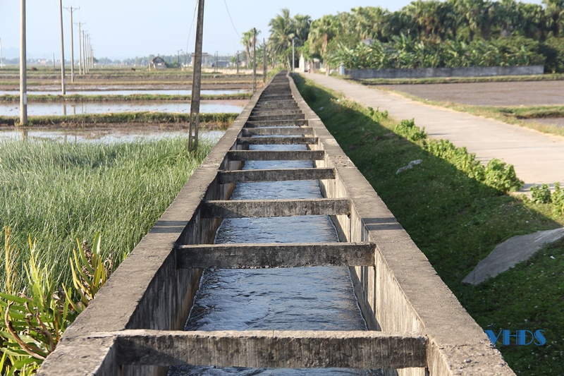Nỗ lực cung ứng nước tưới phục vụ sản xuất vụ thu mùa