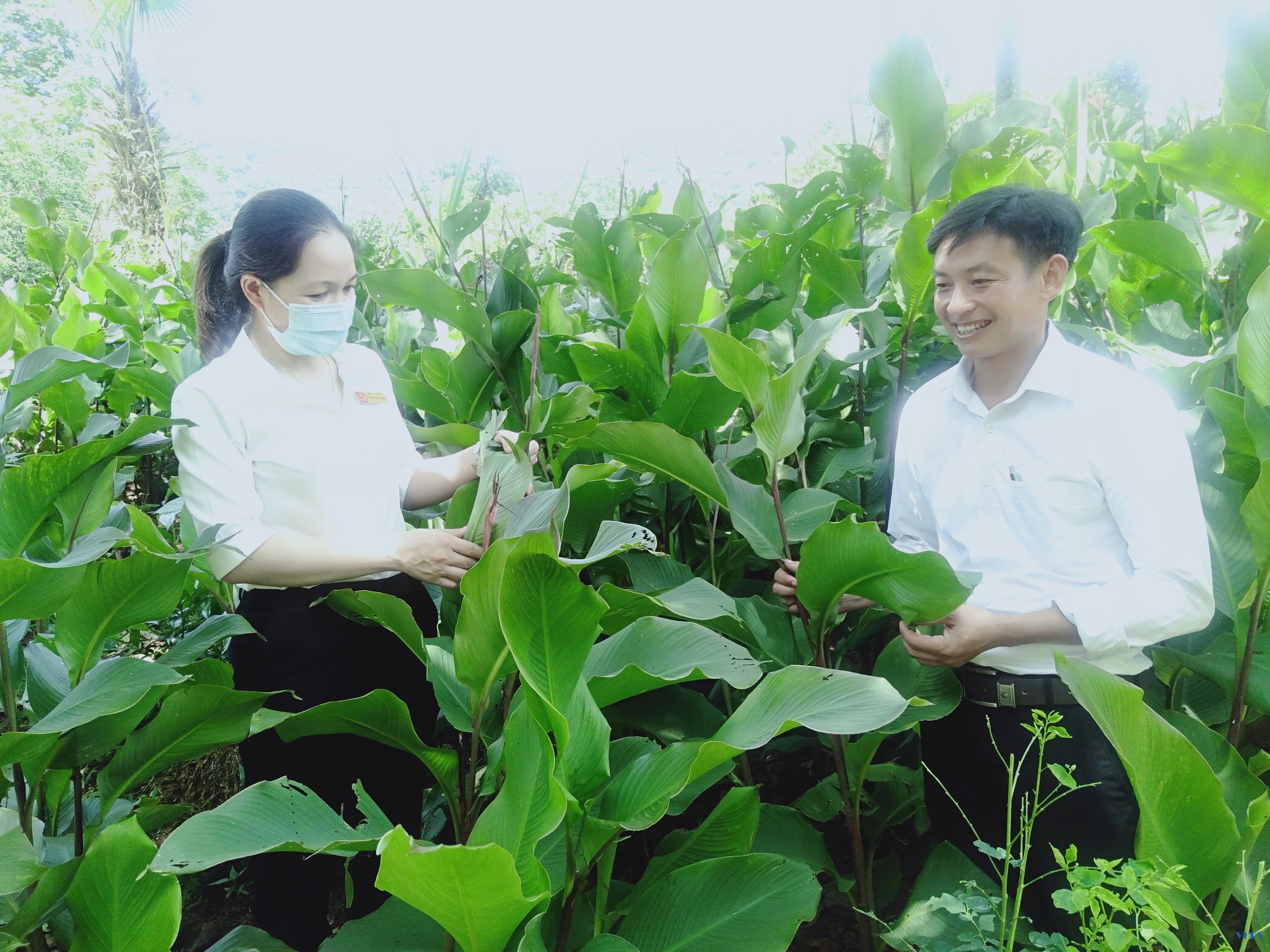 Bí thư chi bộ gương mẫu được dân tin