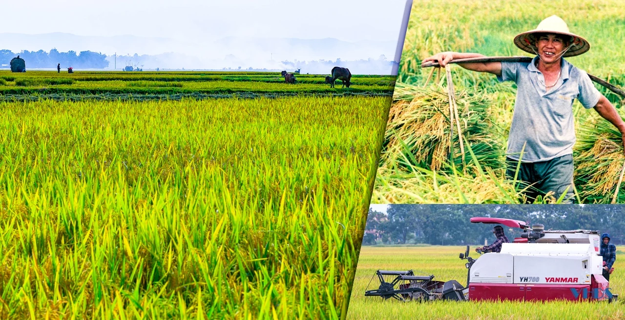 Niềm vui của người lao động