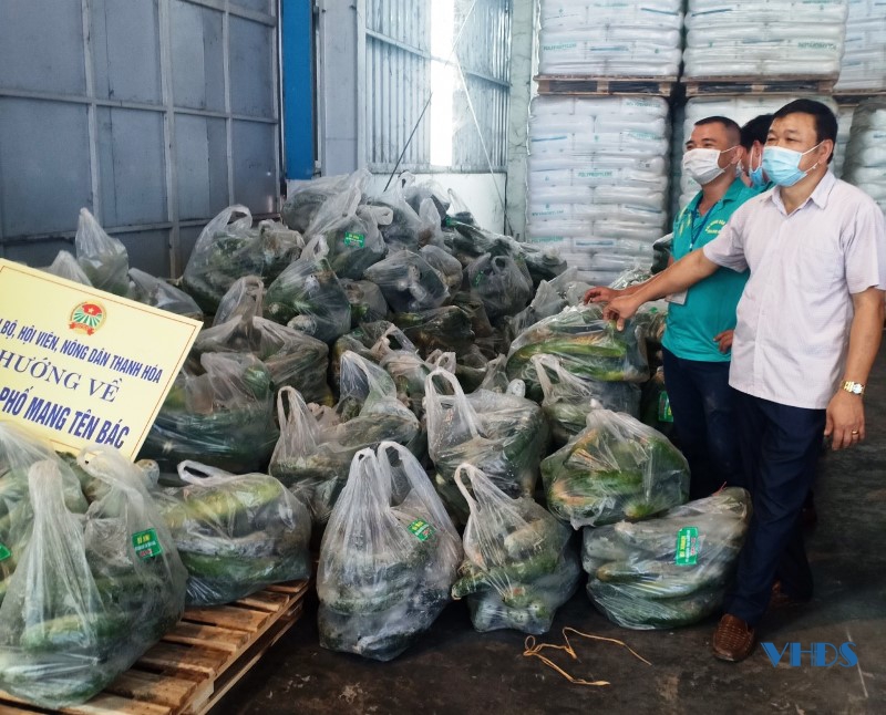 Thanh Hóa: Hơn 300 tấn hàng hóa vận chuyển trước bằng đường bộ vào hỗ trợ Nhân dân TP Hồ Chí Minh