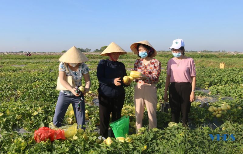 Hội LHPN huyện Hoằng Hóa: Những điểm sáng ấn tượng