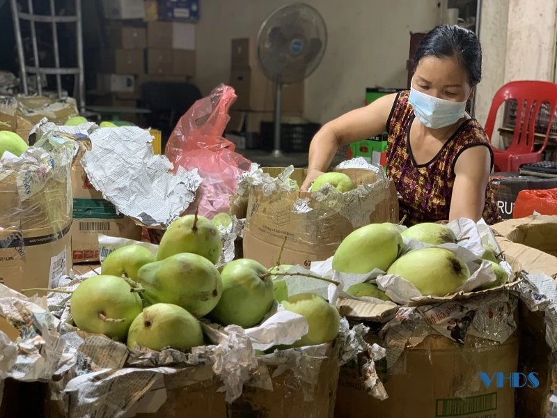Trắng đêm rà soát, phòng dịch ở chợ đầu mối rau quả Đông Hương