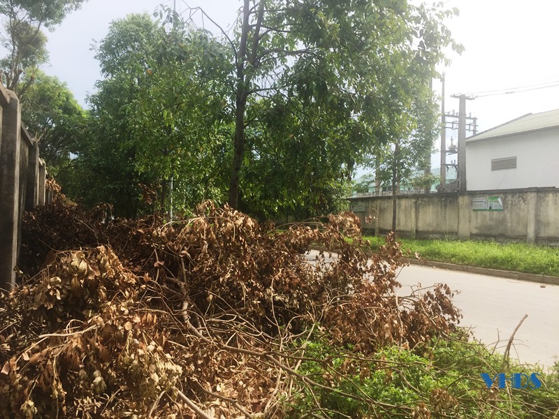 Ngang nhiên đổ chất thải nguy hại ra KCN Đình Hương - Tây Bắc ga