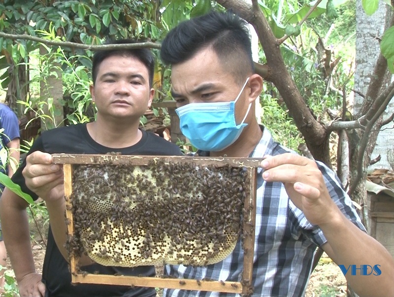 Xây dựng sản phẩm OCOP thương hiệu “Mật ong ngàn hoa Xuân Thái”