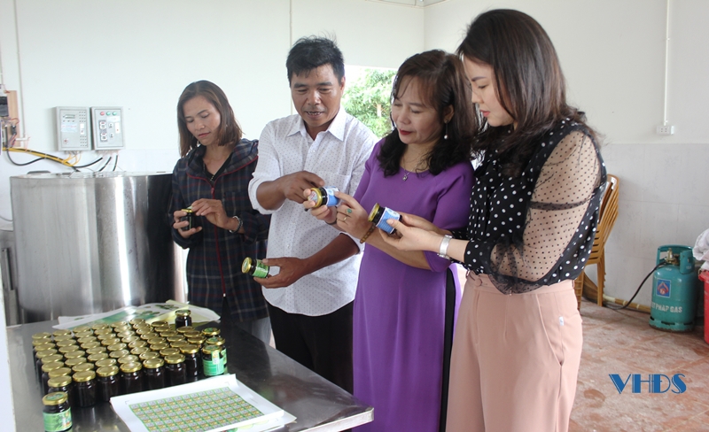 Phát triển cây dược liệu trên đất Đông Hoàng