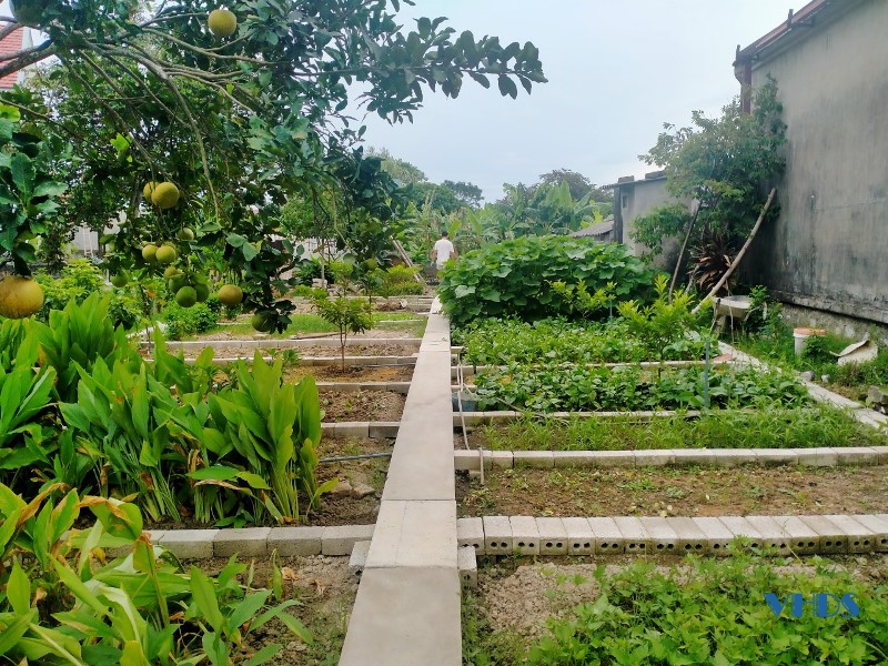 Ra mắt mô hình “Nhà sạch - Vườn mẫu”, “Nhà sạch - Vườn đẹp - Tường rào xanh Nhà sạch vườn mẫu”