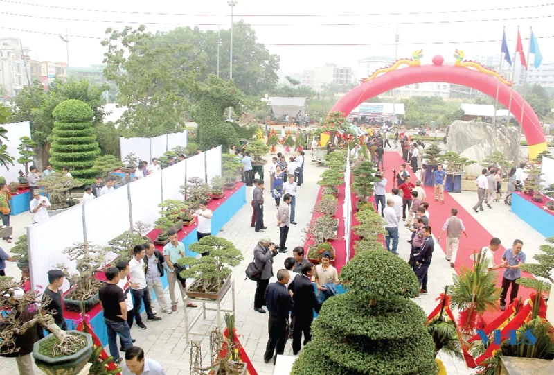 Thú chơi cây cảnh