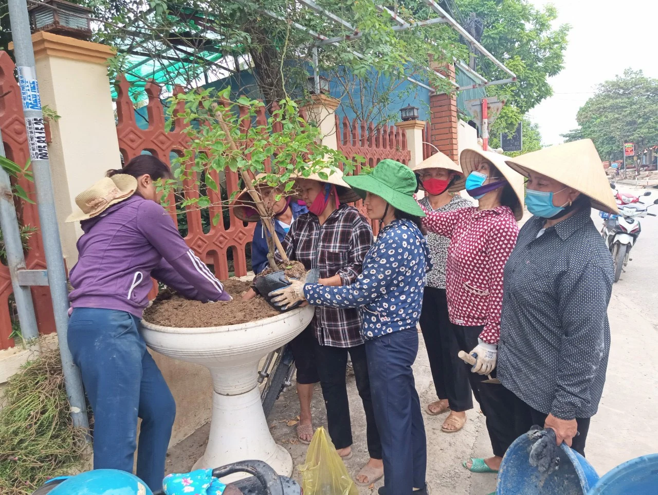 Thị trấn Nưa đẩy mạnh trồng cây xanh làm đẹp quê hương