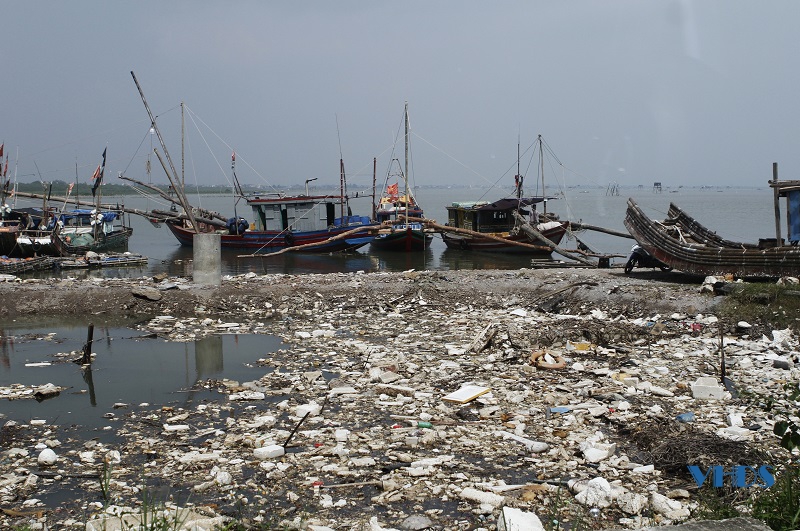 Ô nhiễm môi trường tại Bến cá Hoằng Trường