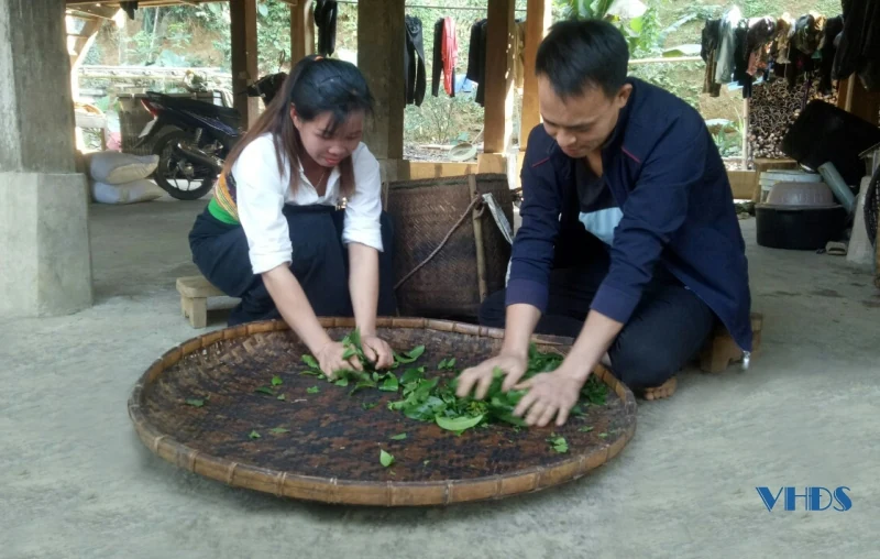 Phát huy tiềm năng, thế mạnh để phát triển kinh tế ở xã biên giới Hiền Kiệt