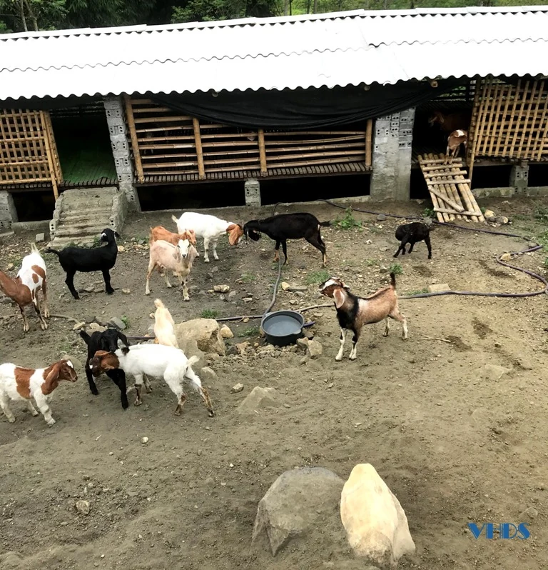 Phát huy tiềm năng, thế mạnh để phát triển kinh tế ở xã biên giới Hiền Kiệt