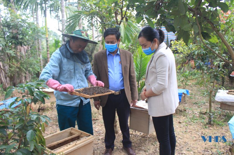 Mật ong hoa rừng Thọ Bình trên hành trình hướng tới sản phẩm OCOP
