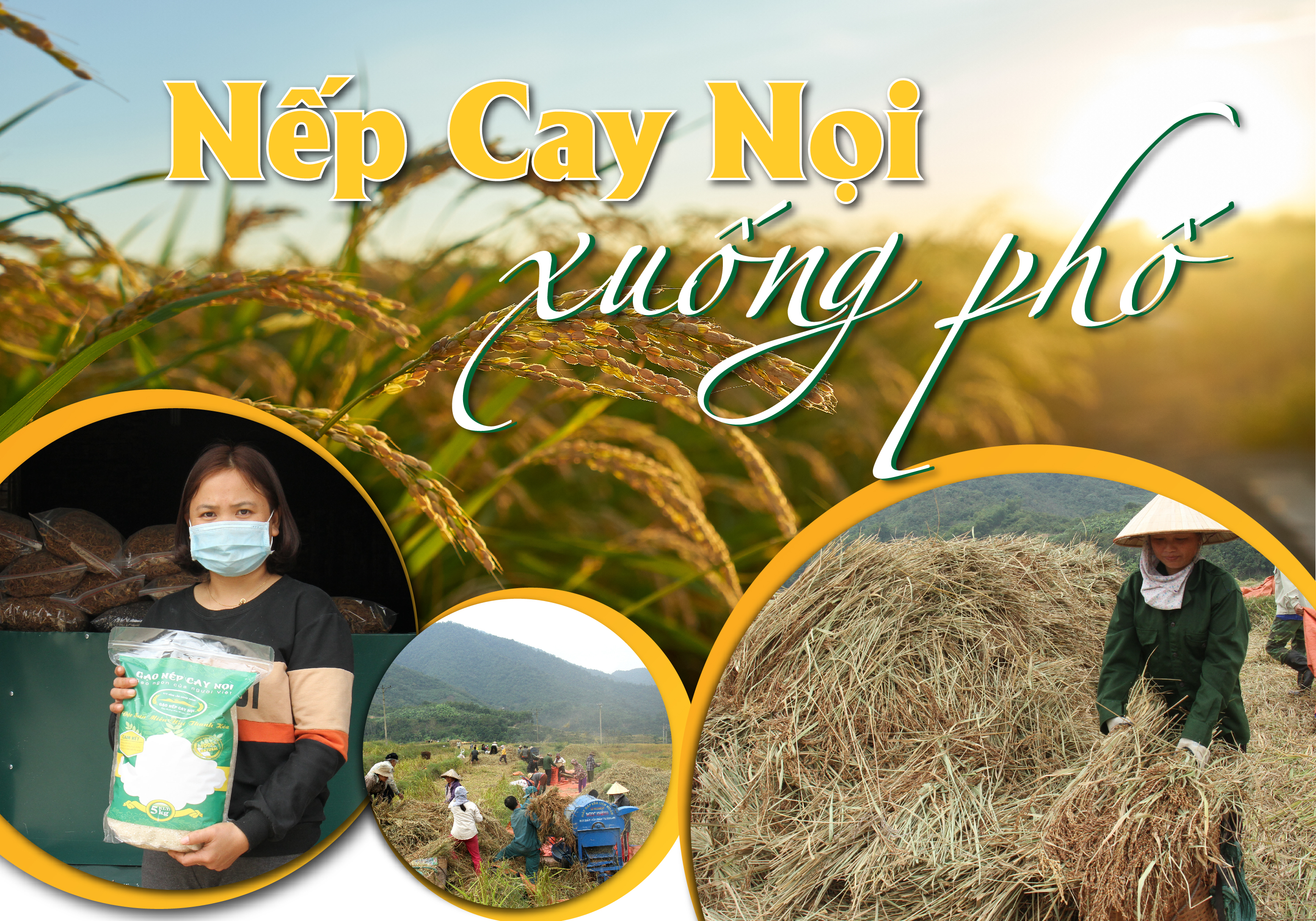 [E-Magazine] - Nếp Cay Nọi xuống phố