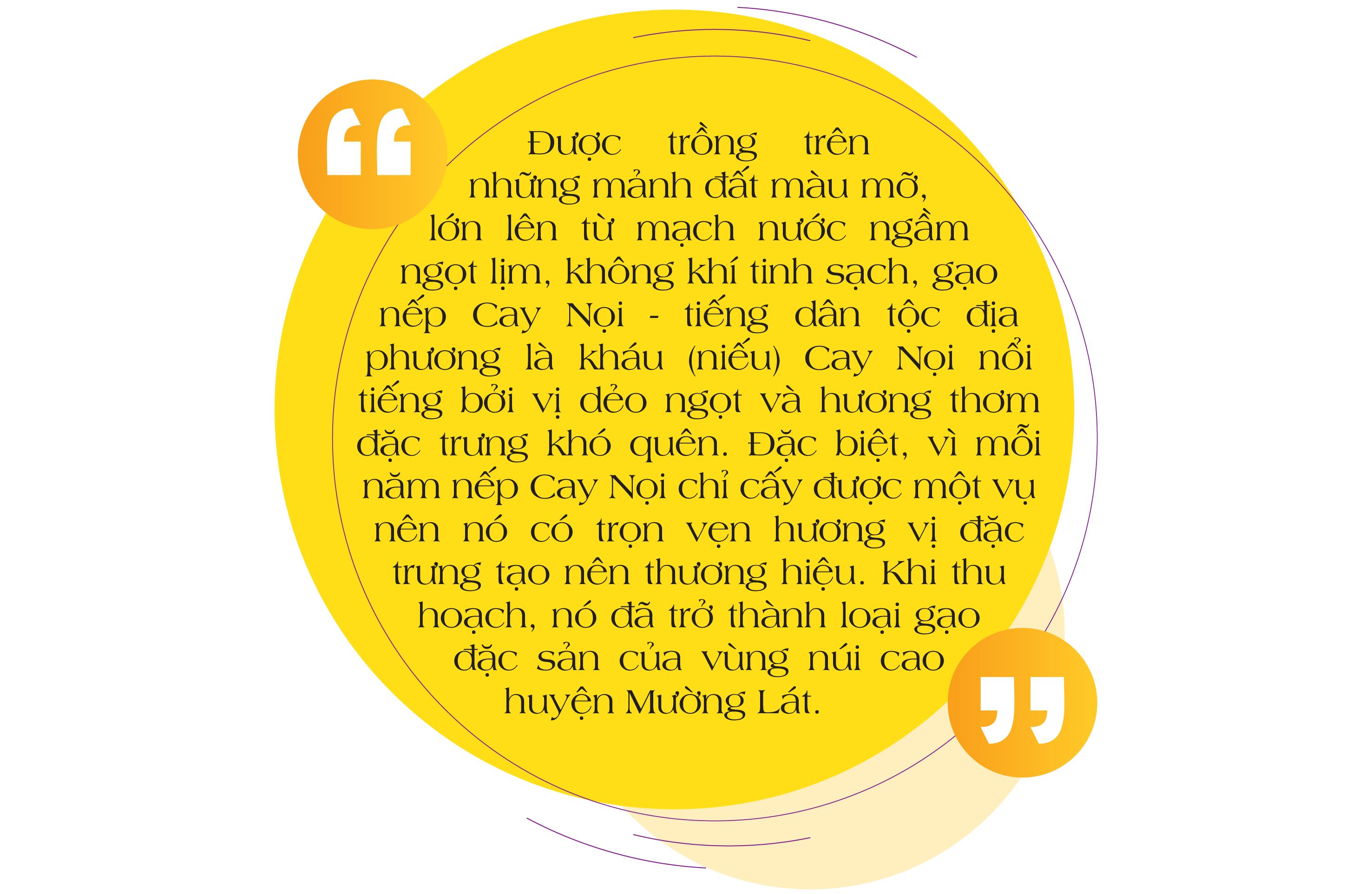 [E-Magazine] - Nếp Cay Nọi xuống phố