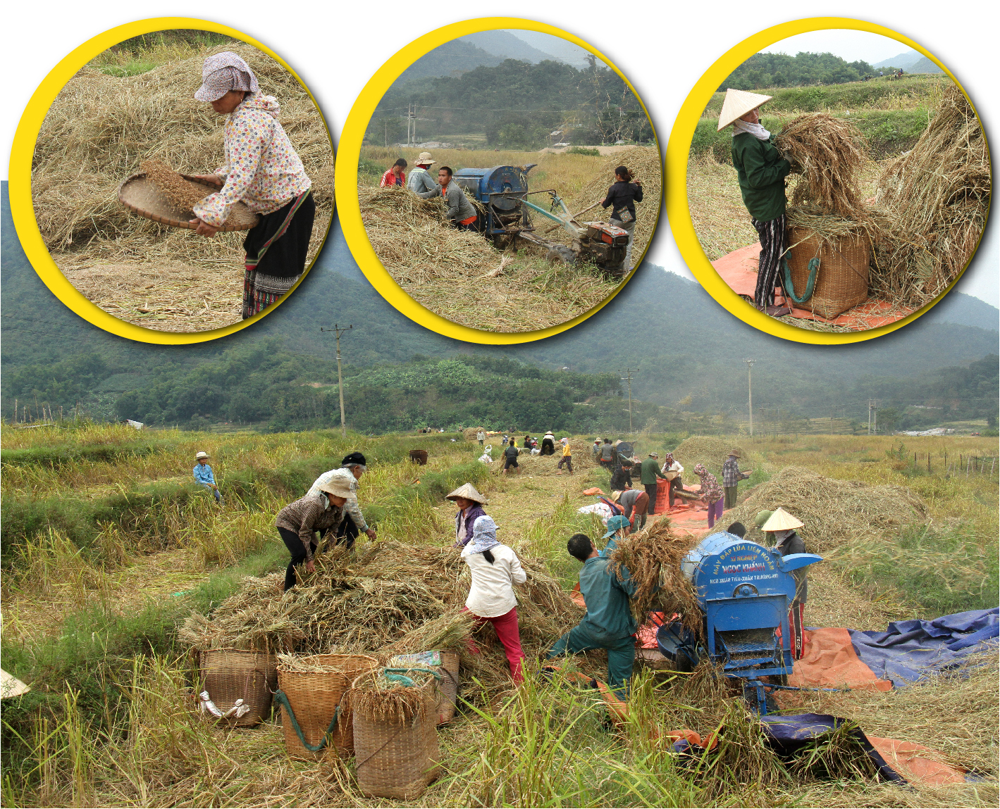 [E-Magazine] - Nếp Cay Nọi xuống phố