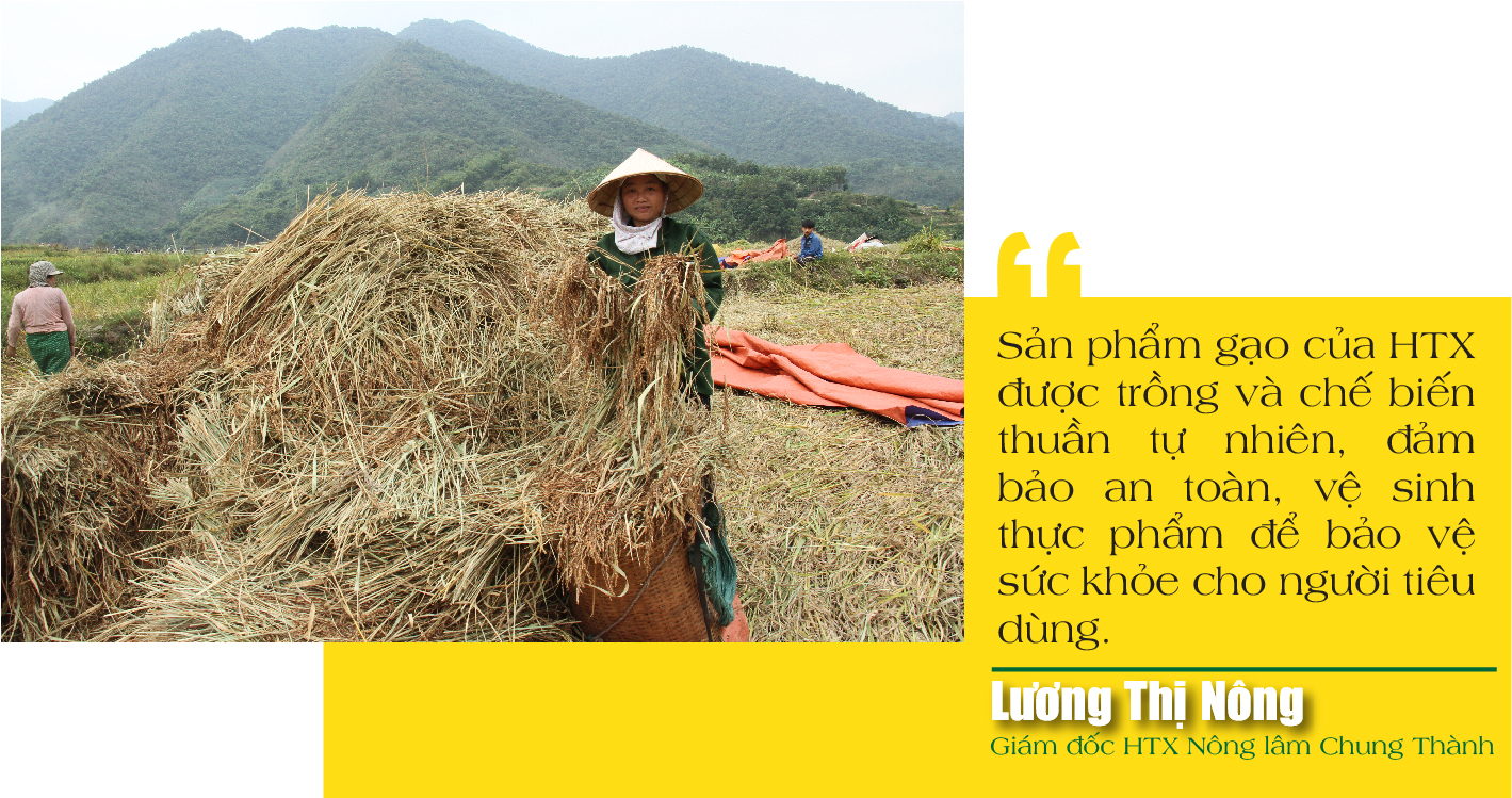 [E-Magazine] - Nếp Cay Nọi xuống phố