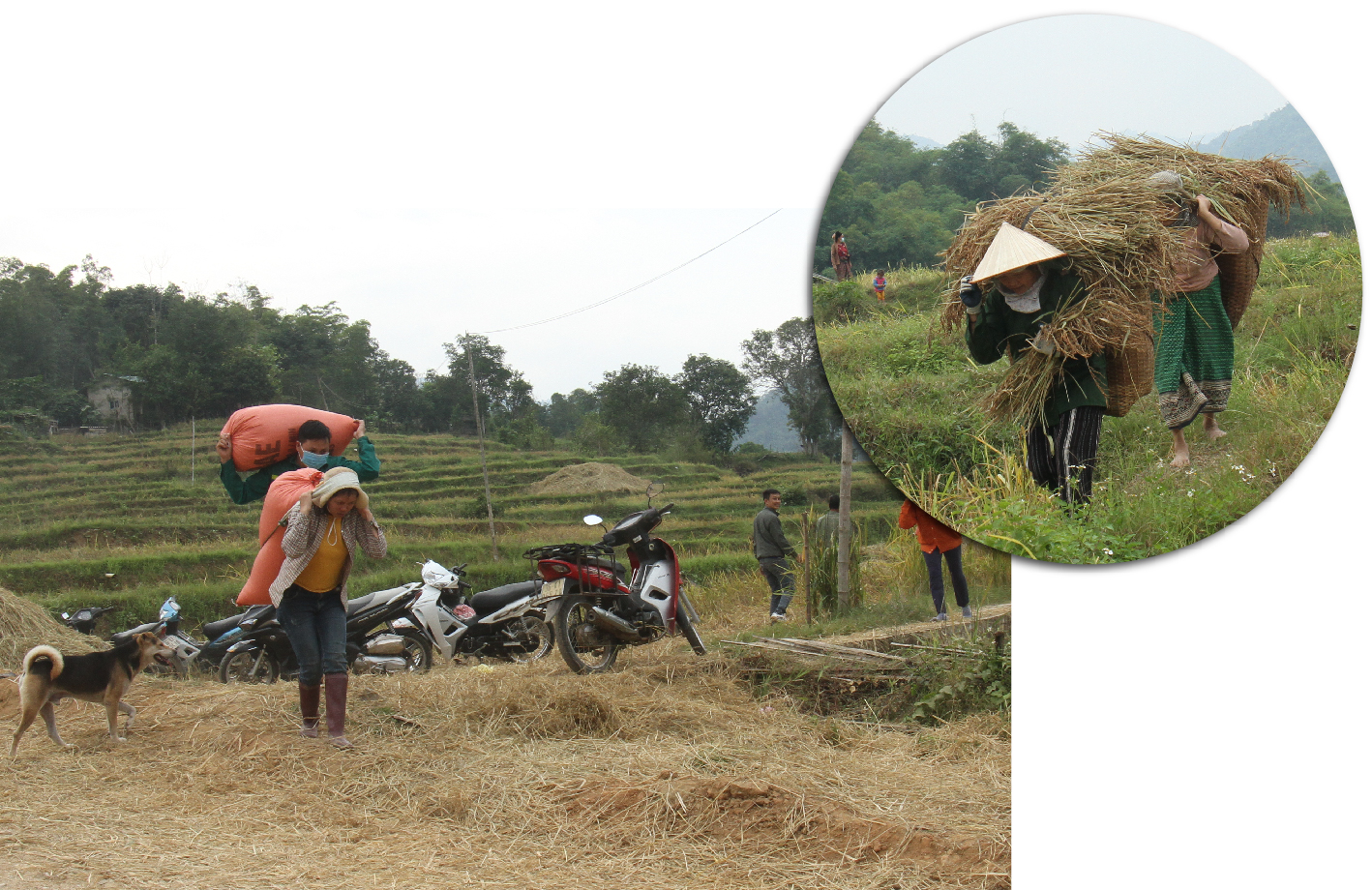 [E-Magazine] - Nếp Cay Nọi xuống phố