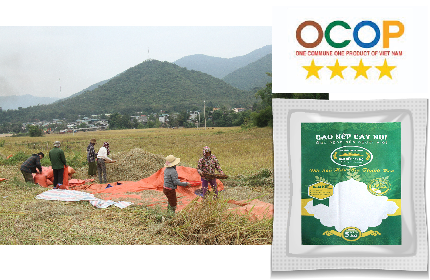 [E-Magazine] - Nếp Cay Nọi xuống phố