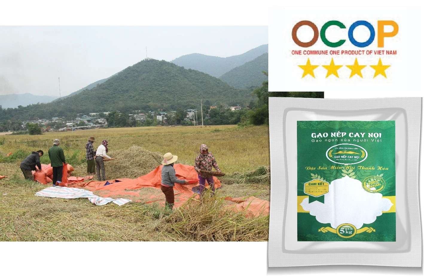 [E-Magazine] - Nếp Cay Nọi xuống phố