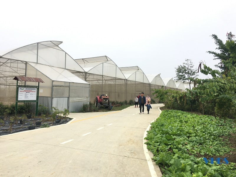 Trang trại giáo dục và sinh học hữu cơ T-Farm thu hút khách dịp nghỉ lễ Tết Dương lịch 2022