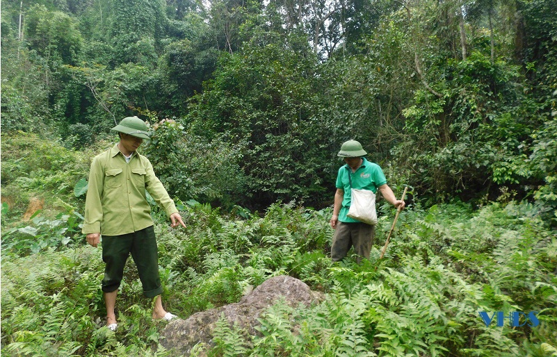 Đánh thức tiềm năng du lịch rừng phòng hộ tại huyện Lang Chánh